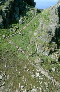 Trackway