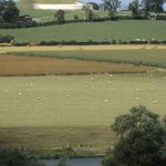 Thumbnail of http://Newgrange%20Passage%20Tomb,%20Co.%20Meath,%20Ireland%20View%20from%20across%20the%20Boyne%20river