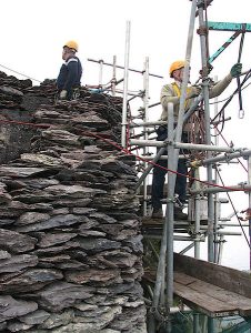 Conservation Work