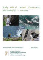 Sceilg Mhichíl Seabird Conservation Monitoring 2021 – Summary