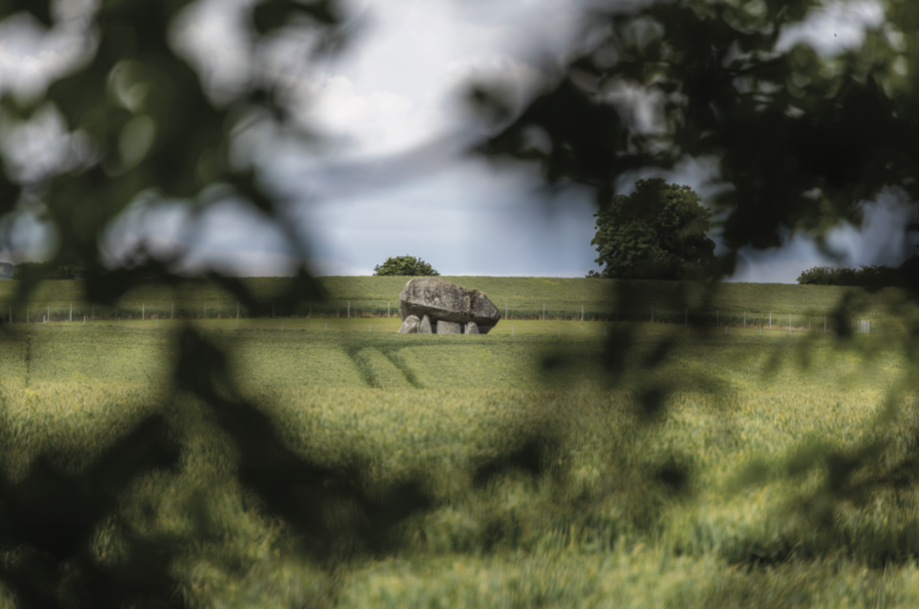 Brownshill Dolmen